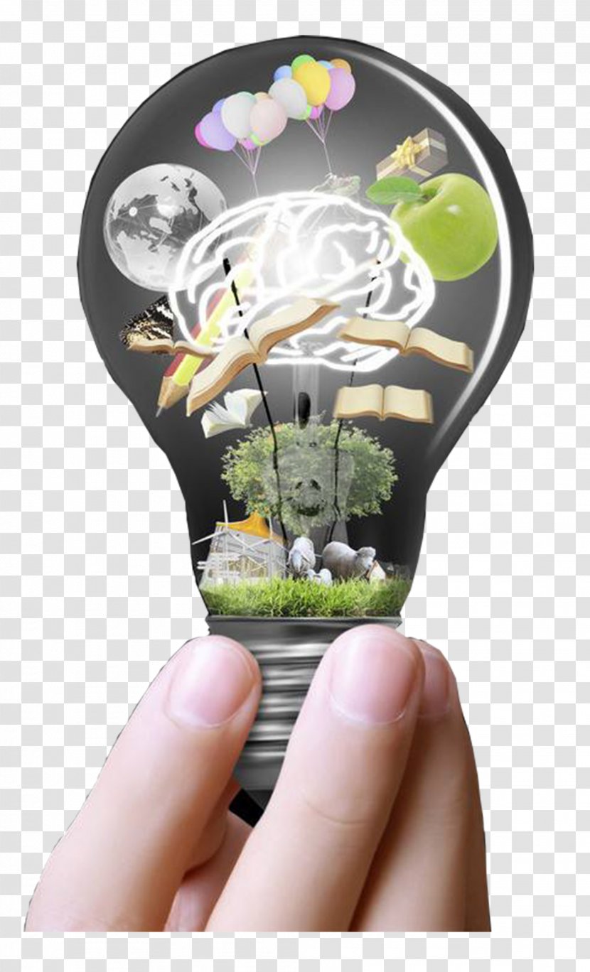 Thought Incandescent Light Bulb Creativity - Philosophy - Creative Brain Transparent PNG