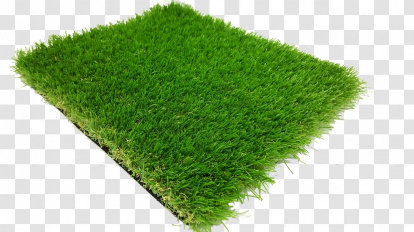 Lawn Artificial Turf Golf Grasses - Plant - Product Description Transparent PNG