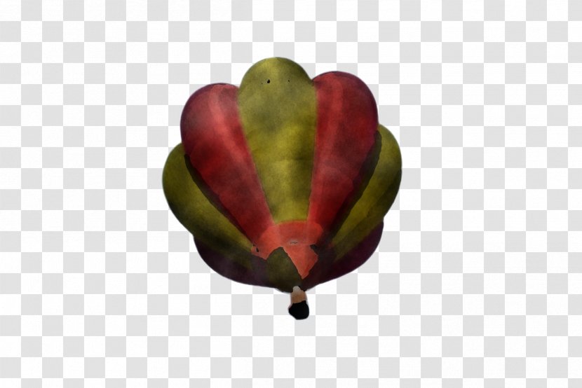 Hot Air Balloon - Magnolia Family - Bud Transparent PNG