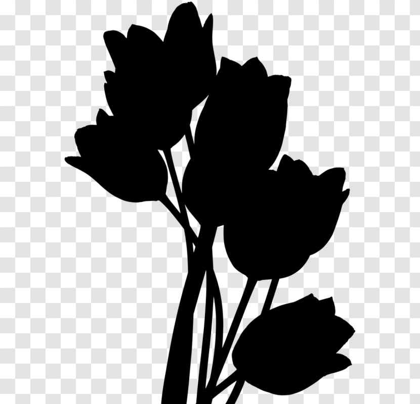 Tulip Flower Retour: Luc Verlains Erster Fall Petal - Herbaceous Plant Transparent PNG