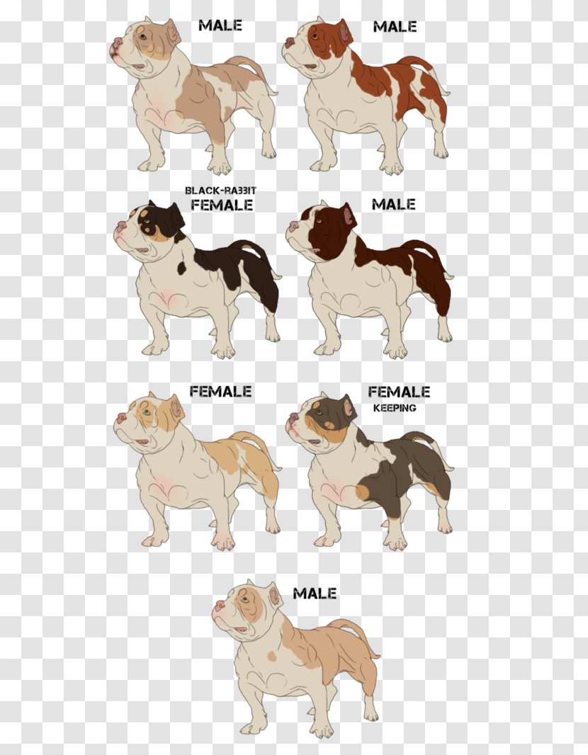 non sporting group dog breeds