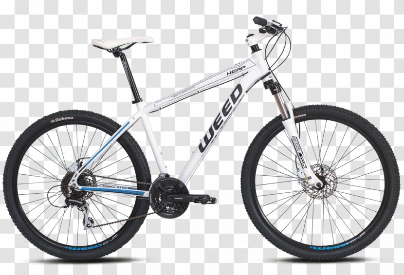 Bicycle Shop Mountain Bike Giant Bicycles Cycling - Family - Heap Transparent PNG