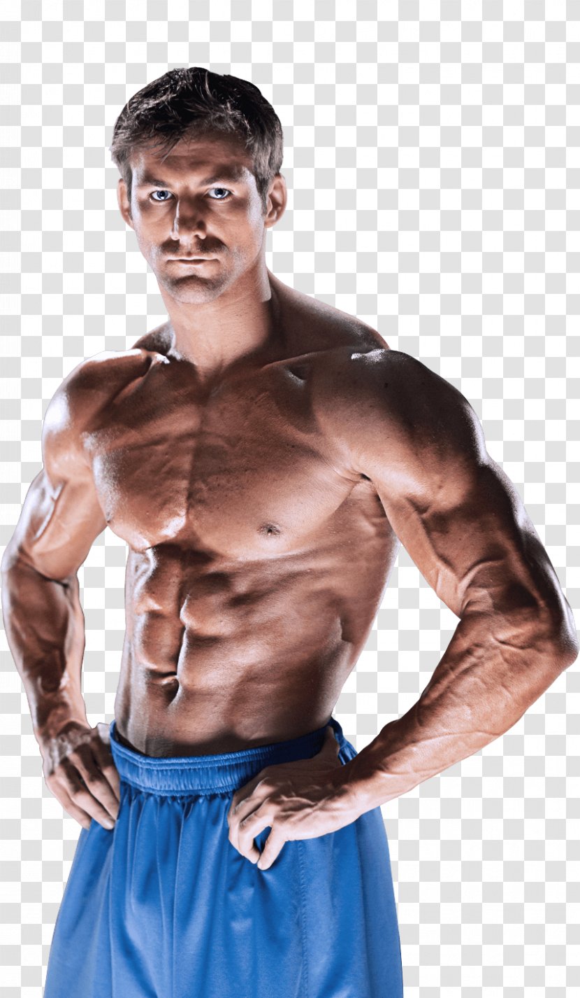 Bodybuilding Rectus Abdominis Muscle Physical Fitness Web Development - Tree - Fat Man Transparent PNG