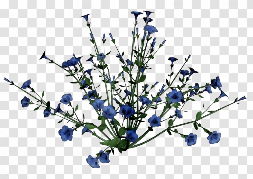 Plant Stem Cut Flowers Twig Chicory - Delphinium Transparent PNG
