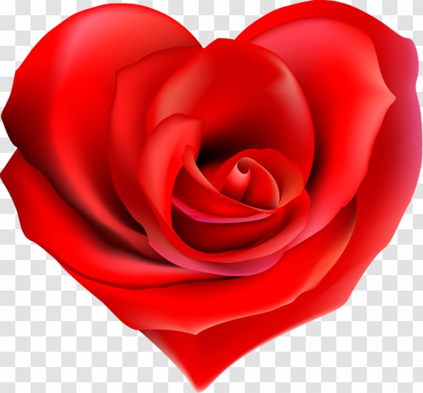 Garden Roses Heart Flower Clip Art - Kiss Transparent PNG