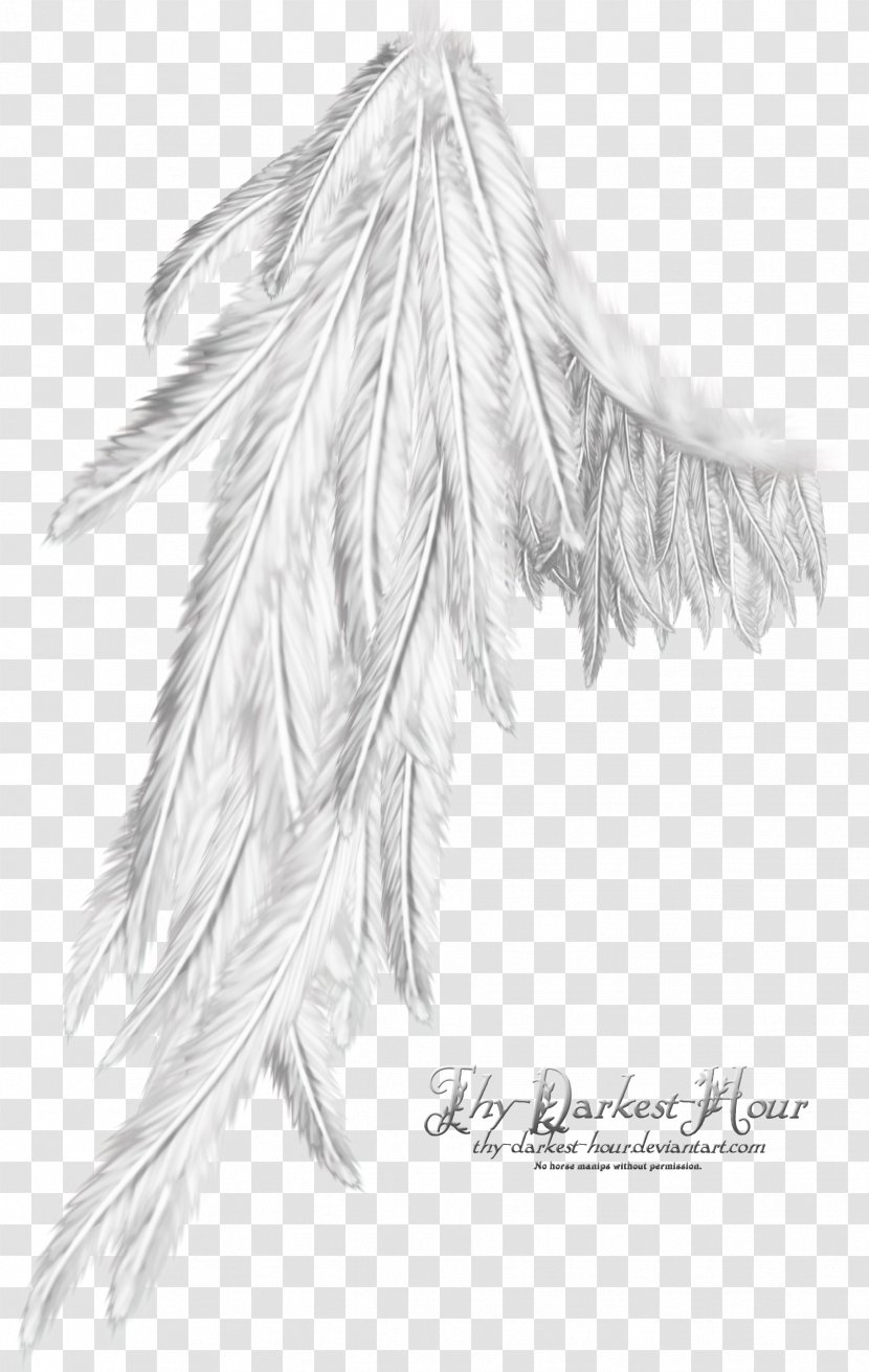 Drawing Computer Software - Wings Angel Transparent PNG