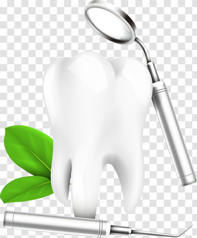 Wisdom Tooth Dental Extraction Dentistry Gums - Frame - Vector Teeth And Magnifying Glass Transparent PNG
