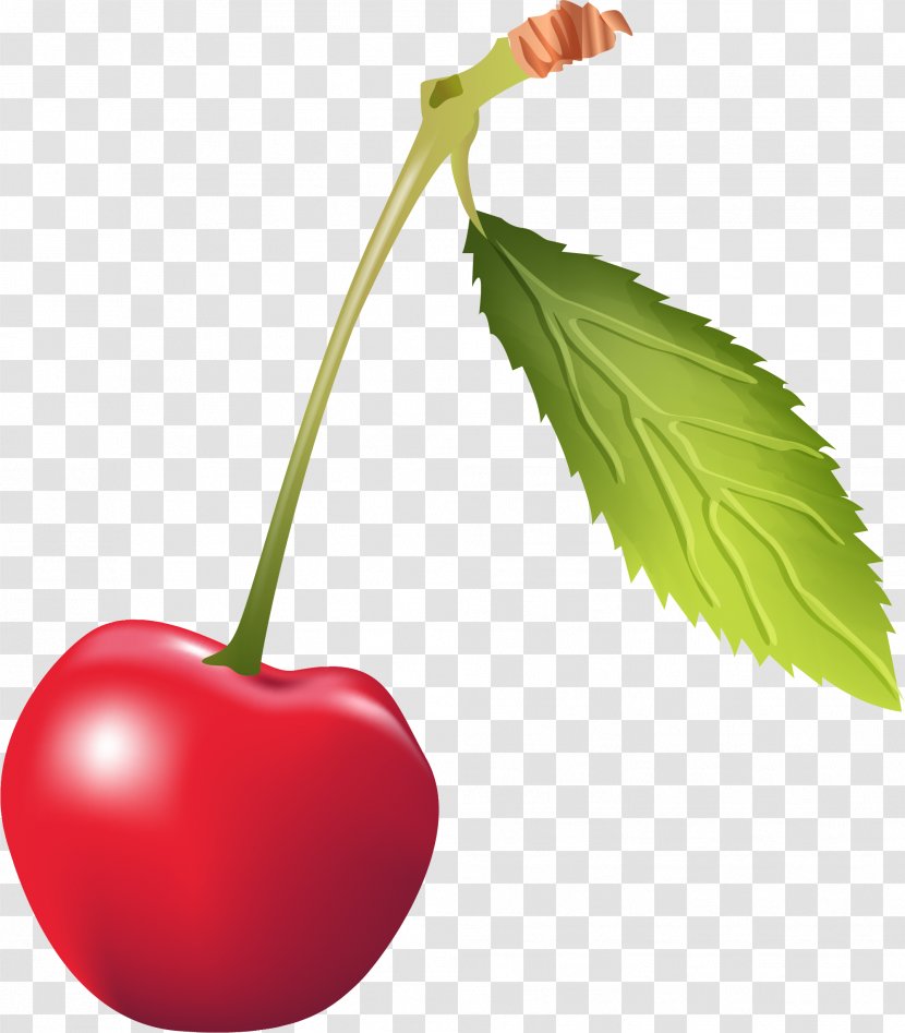 Cherry Red - Natural Foods - Hand Painted Transparent PNG