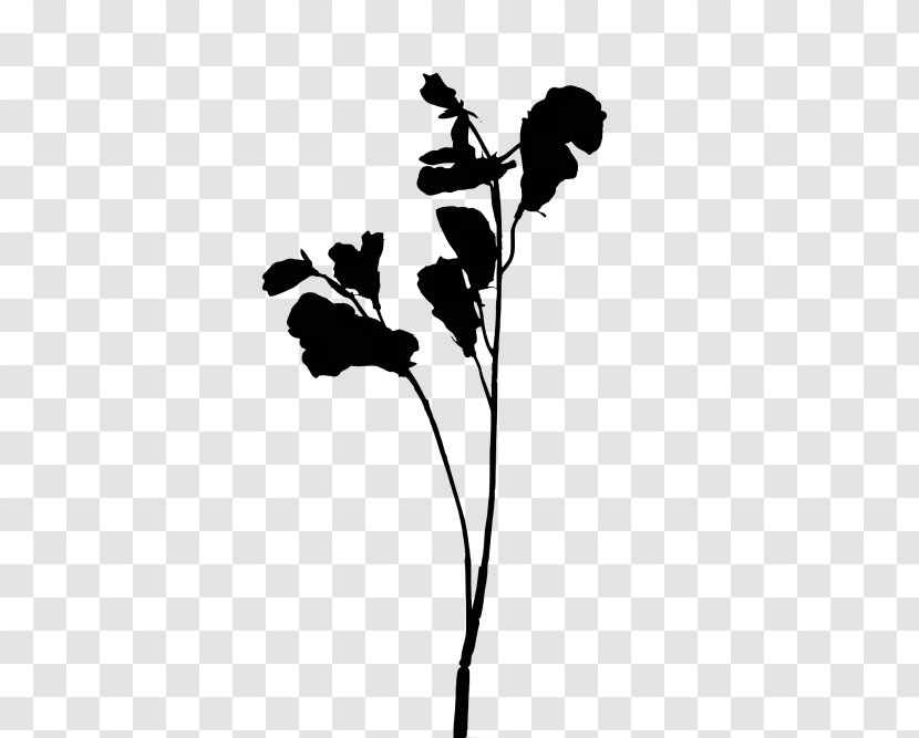 Flowering Plant Stem Leaf Silhouette - Twig Transparent PNG