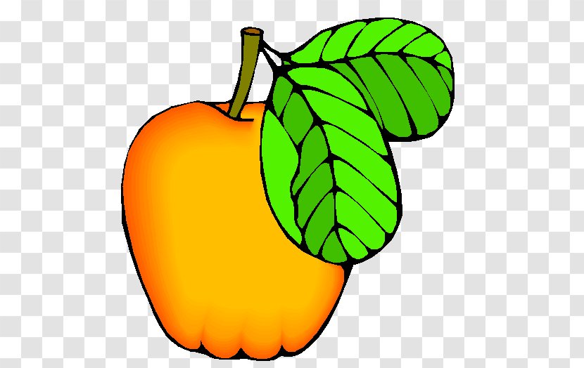 Apple Cucurbita Auglis Fruit Clip Art Transparent PNG