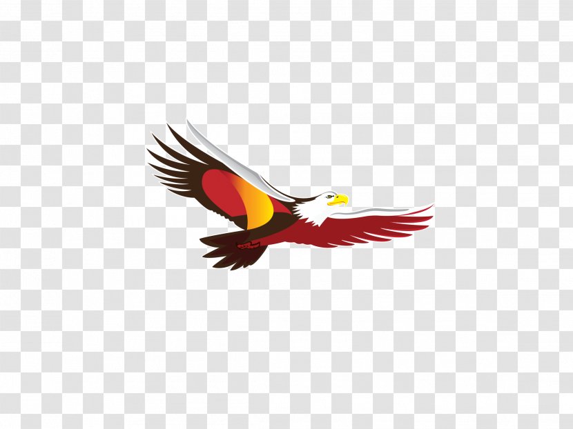 Beer Anheuser-Busch InBev SABMiller - Anheuserbusch Inbev - Eagle Transparent PNG