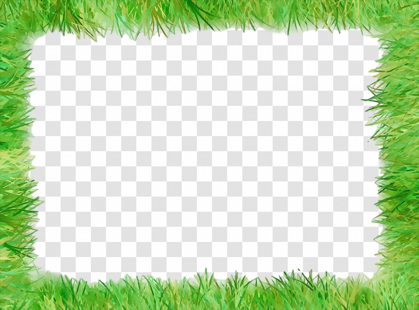 Grass Green Fur Plant Interior Design Transparent PNG