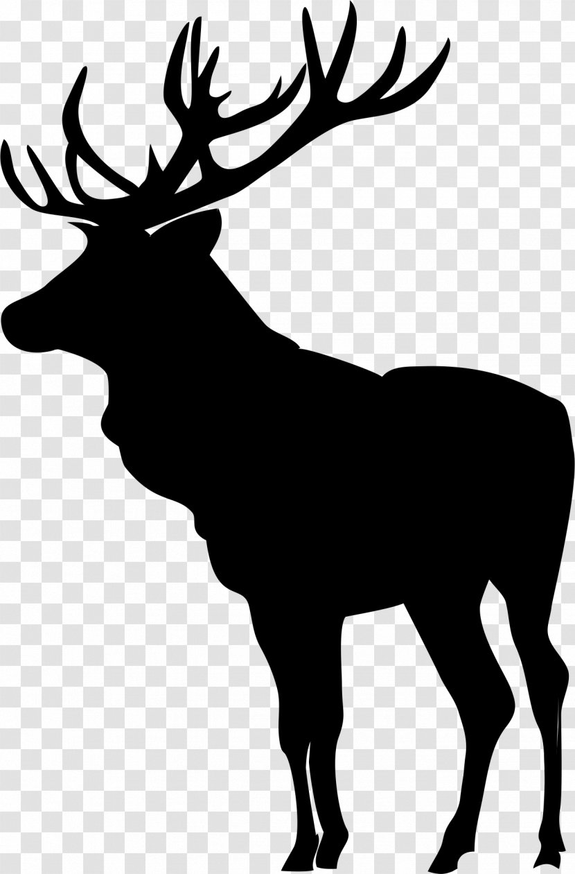 Elk Deer Moose Silhouette Clip Art - Antler - Head Transparent PNG