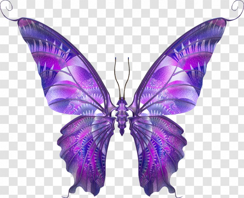 Insect Drawing Butterflies And Moths Sketch - Purple - Butterfly Transparent PNG