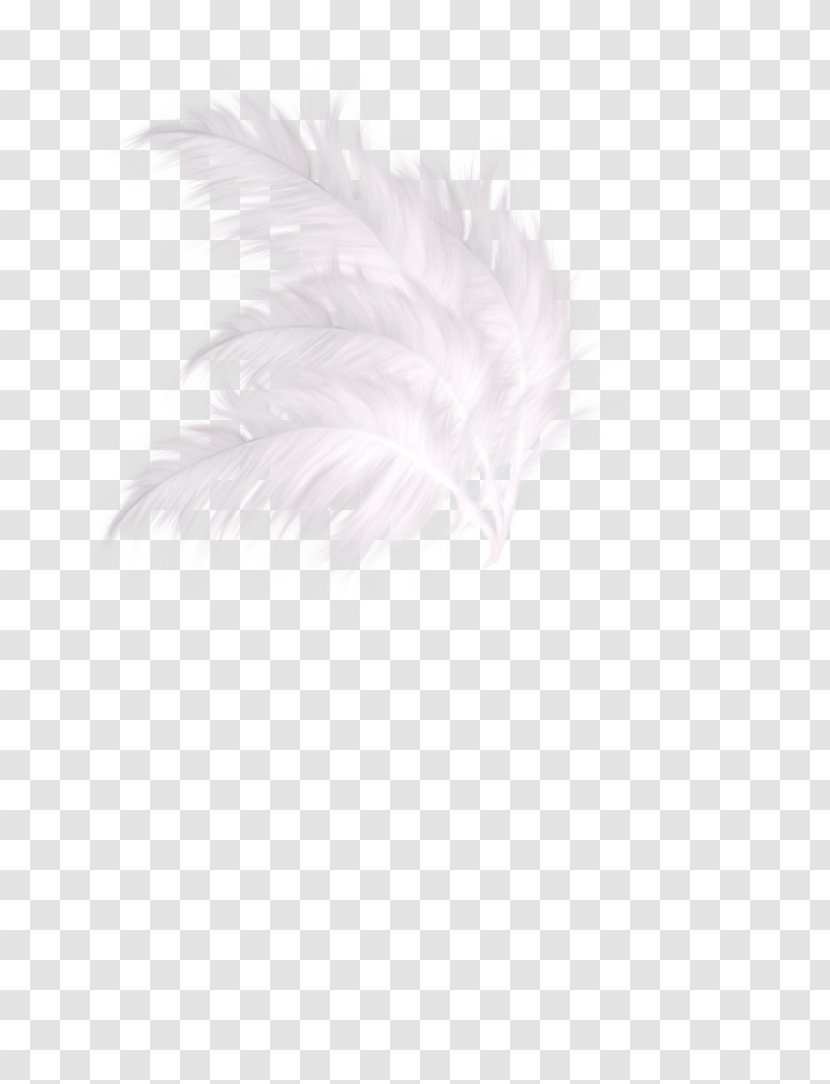 White Textile Feather Pattern - Green Fresh Decorative Patterns Transparent PNG