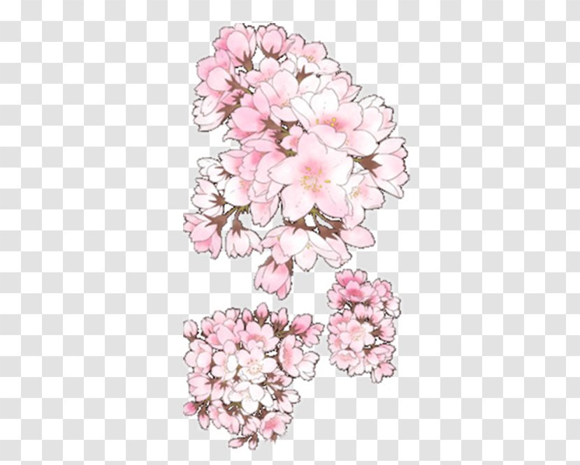 Jinhae Floral Design Cherry Blossom Drawing - Cut Flowers - Pretty Transparent PNG