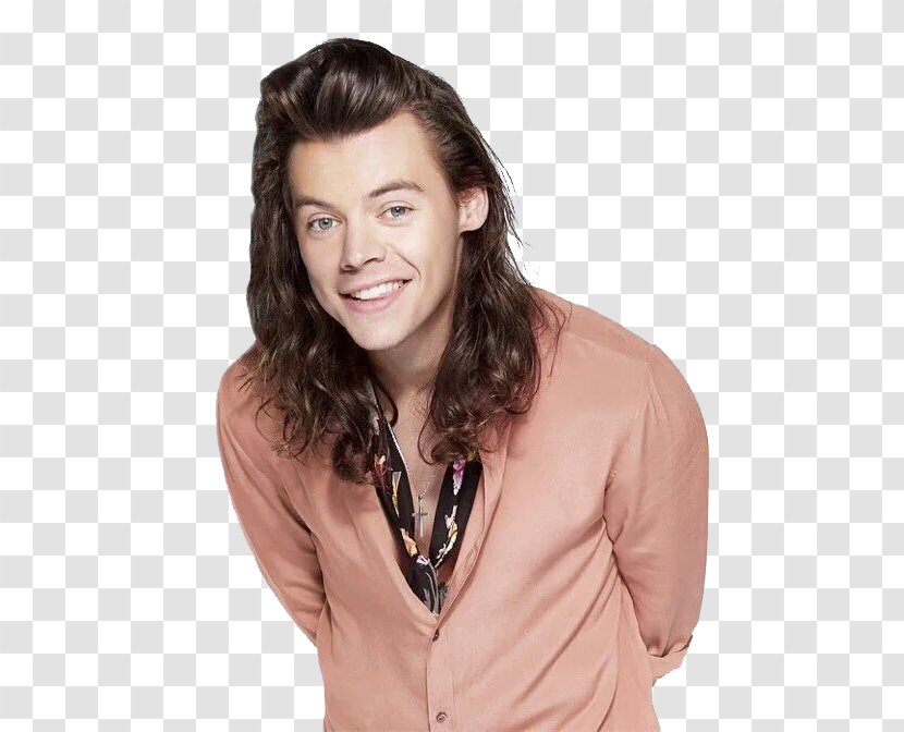Harry Styles One Direction Singer-songwriter Transparent PNG