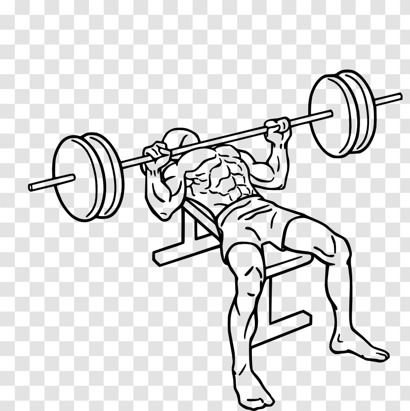 Bench Press Fly Barbell Exercise Transparent PNG