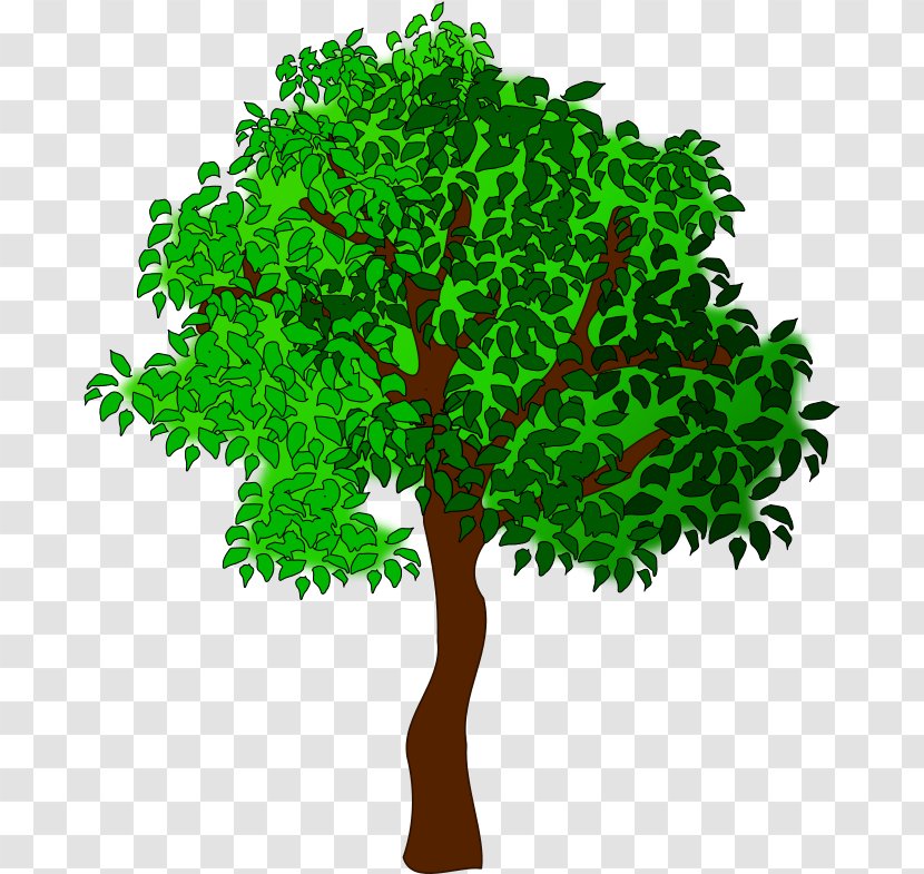 Arbor Day - Green - Grass Woody Plant Transparent PNG