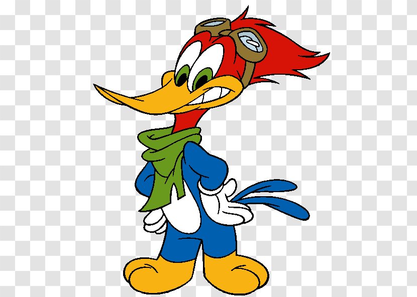 Woody Woodpecker Cartoon Clip Art - Bird - Artwork Transparent PNG