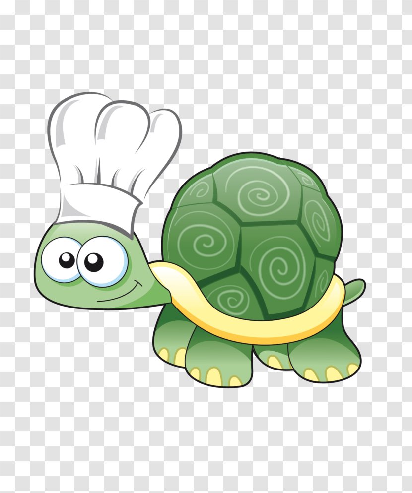 Turtle Clip Art Drawing Image Vector Graphics - Green Transparent PNG