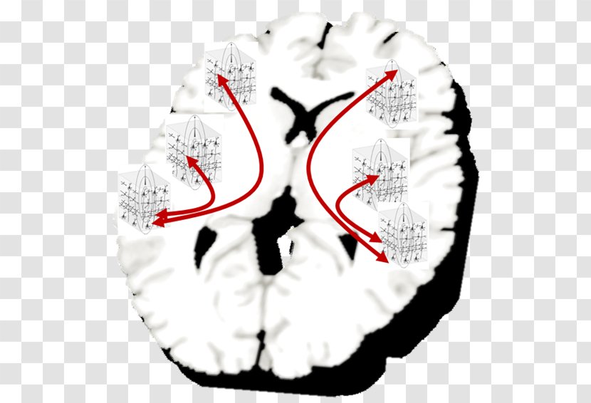 Brain Font - Cartoon Transparent PNG