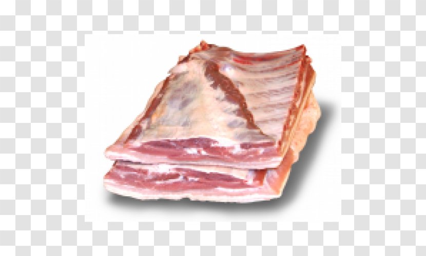 Back Bacon Pork Belly Ham Ribs - Cartoon Transparent PNG