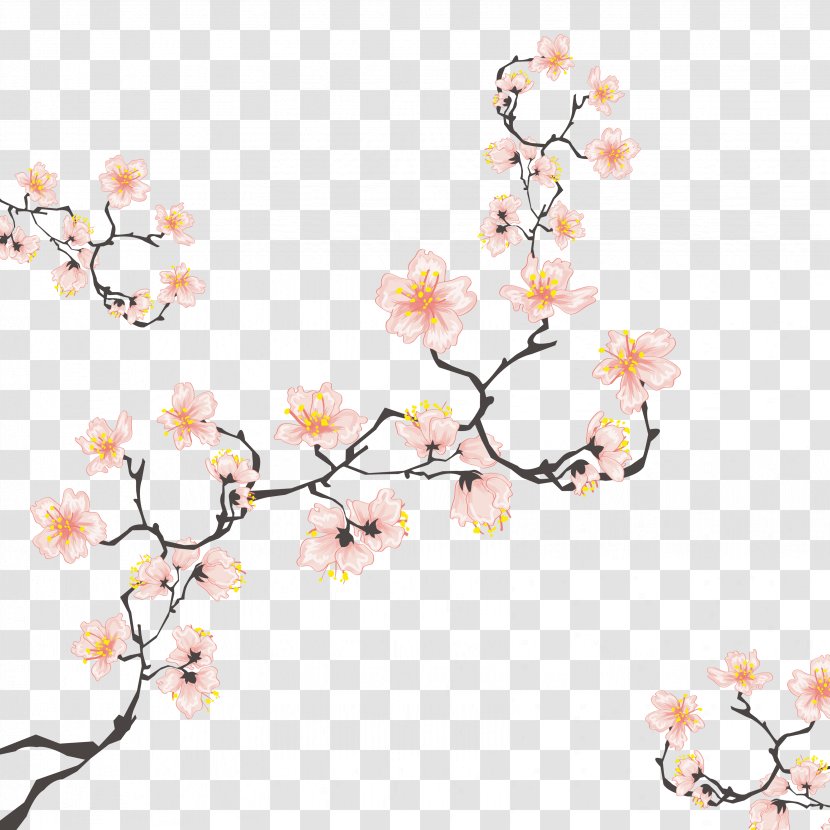 Cherry Blossom Computer File - Flower - Blossoms Transparent PNG