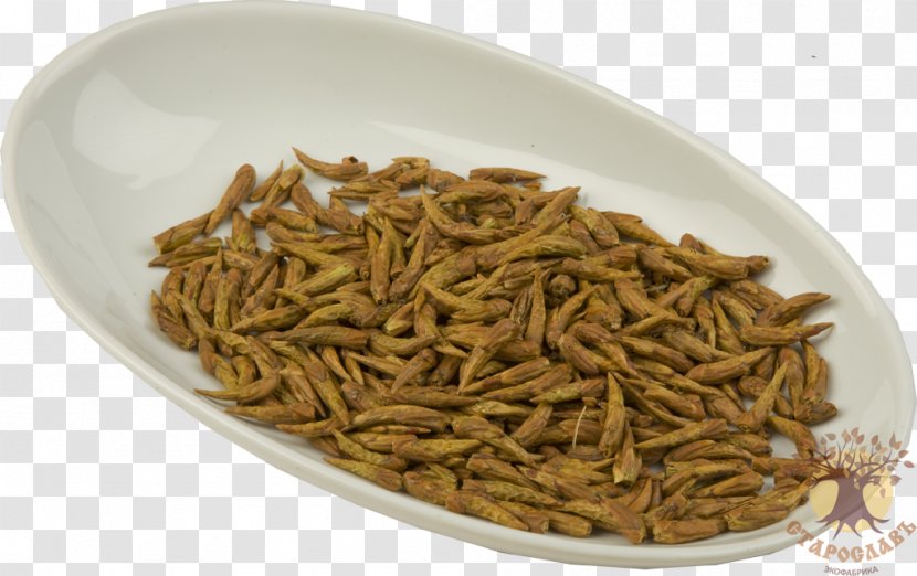 Vegetarian Cuisine Dianhong Recipe Mealworm Food - Populus Nigra Transparent PNG