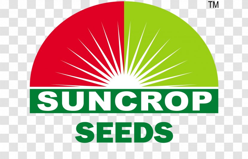 Sun Crop Sciences Pvt Ltd Nottingham Seed Sorghum - Green Transparent PNG