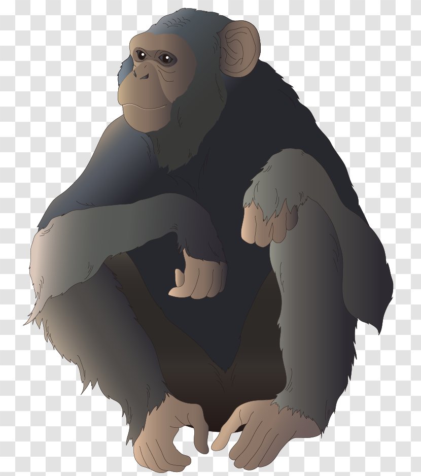 Common Chimpanzee Gorilla Monkey Ape Illustration - Fictional Character - Cartoon Transparent PNG