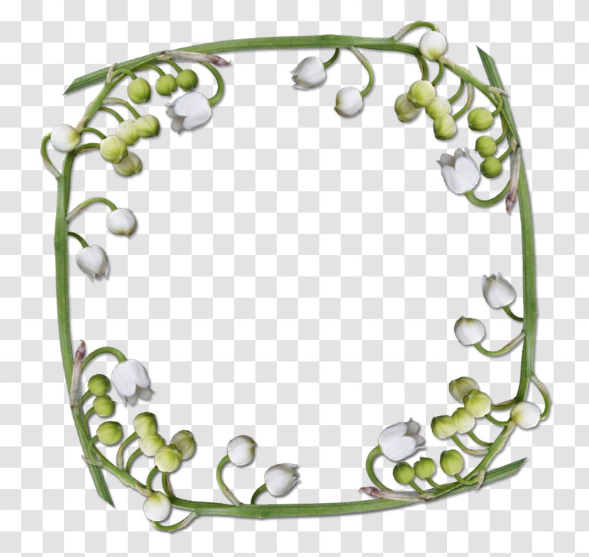 Picture Frames Lily Of The Valley Transparent PNG