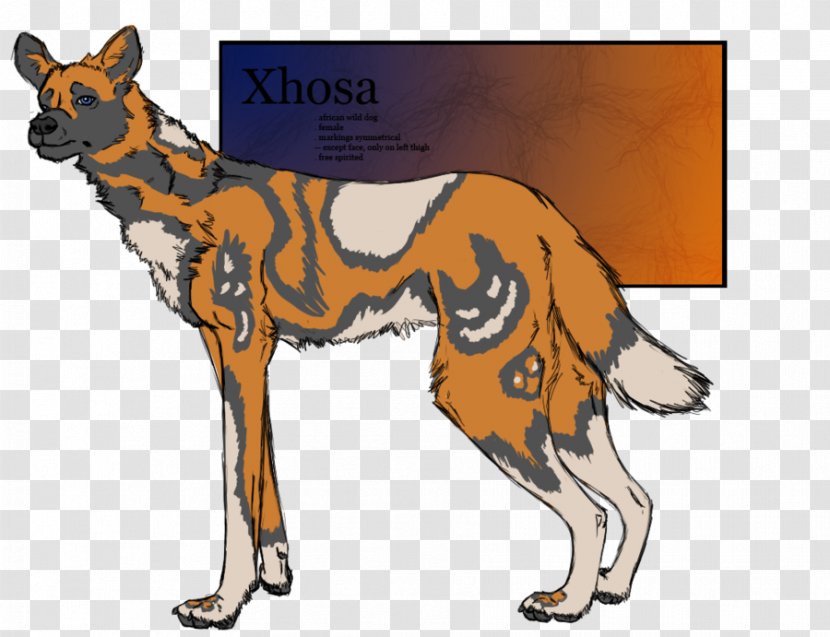 Dog Breed Dingo Red Fox Art Transparent PNG