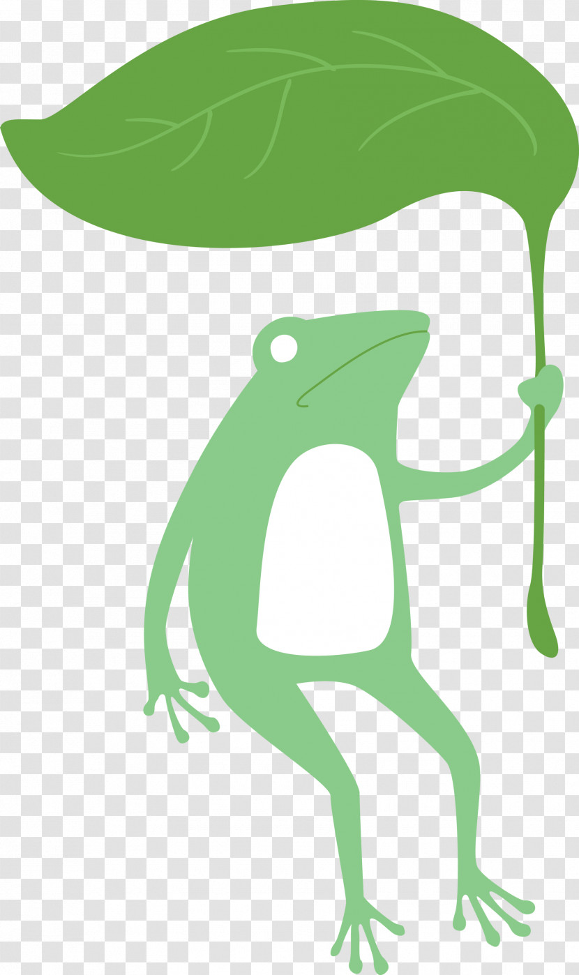 Tree Frog Frogs Meter Leaf Cartoon Transparent PNG