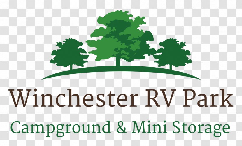Curlew Winchester RV Park & Mini Storage Republic Tree Logo - Leaf Transparent PNG