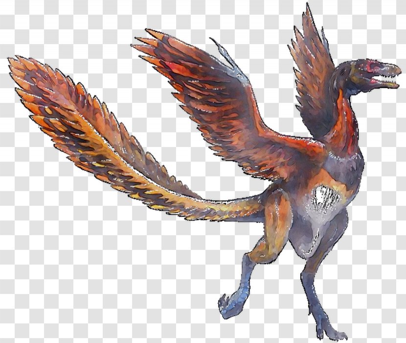 Bird Chicken Archaeopteryx Dinosaur Ankylosaurus - Dragon - Feather Transparent PNG