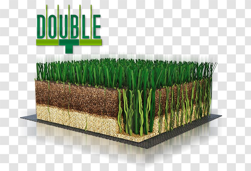 Lawn Artificial Turf Vetiver Green FIFA 18 - Plant - Football Field Transparent PNG