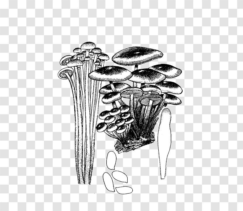 Black And White - Joint - Hand Drawn Mushrooms Pull Material Free Transparent PNG