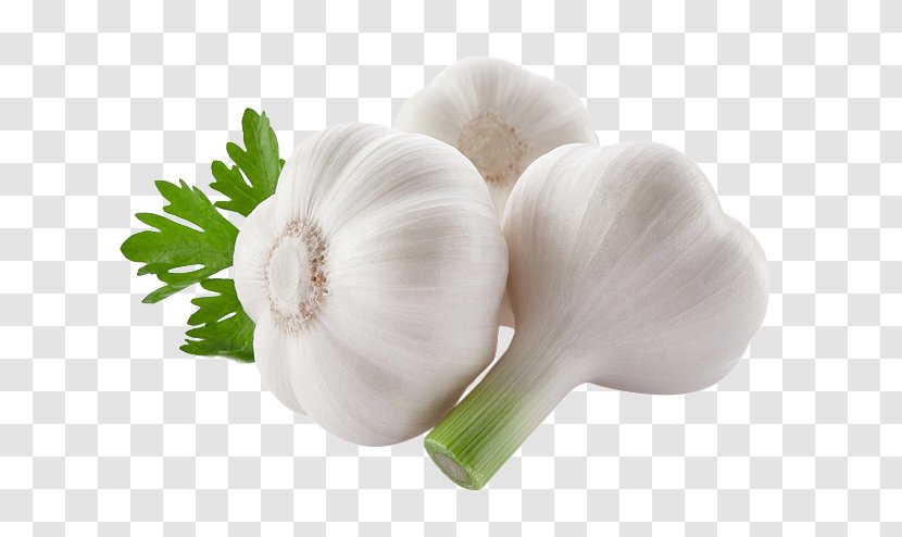 Garlic Food Vegetable Onion - Ingredient Transparent PNG