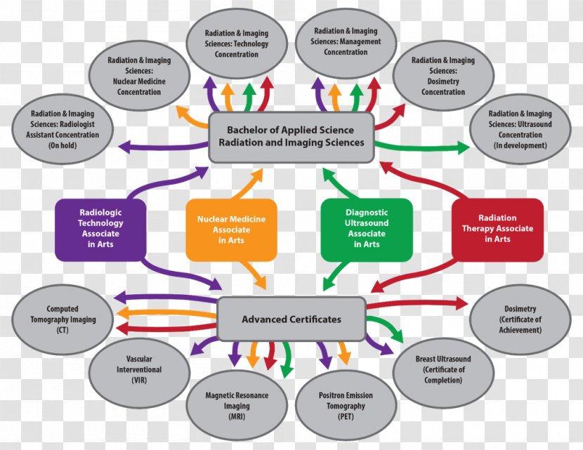 Century College Academic Degree Community Flow Map Minnesota State Colleges And Universities System - Student - University Transparent PNG