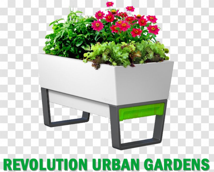 Gardening Flower Box Watering Cans Flowerpot - Growing Plant Transparent PNG