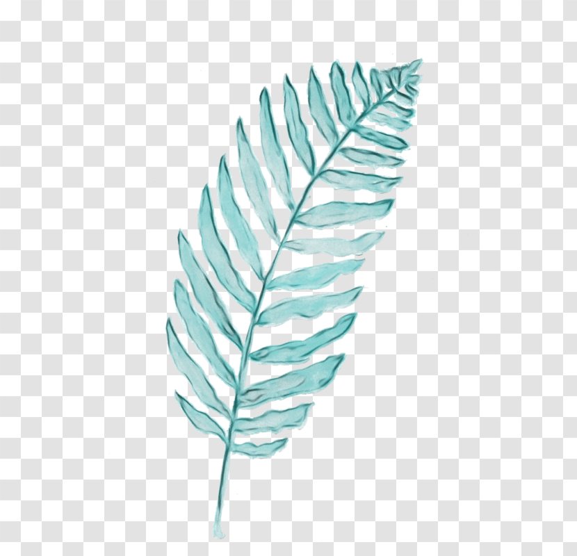 Twig Background - Quill - Flower Transparent PNG