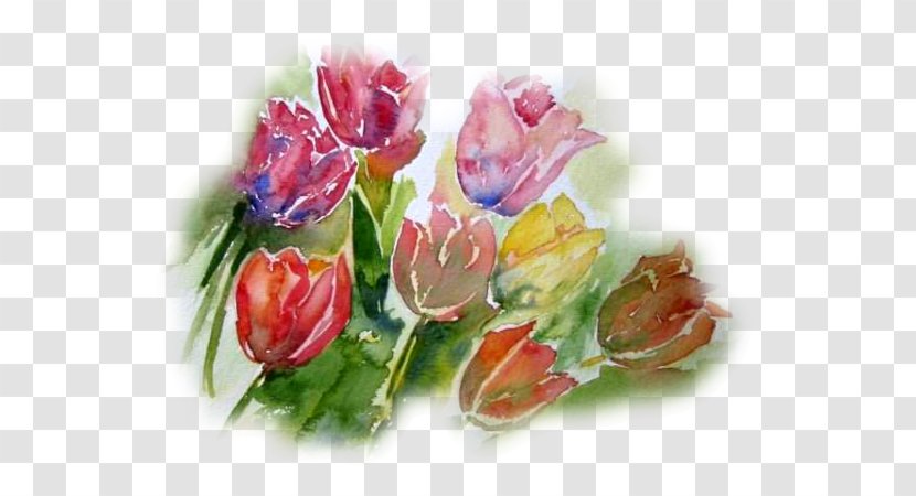 Garden Roses Watercolor Painting Flower Still Life - Bouquet Transparent PNG