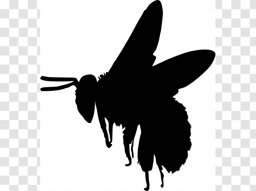 European Dark Bee Silhouette Bumblebee Clip Art - Cliparts Transparent PNG