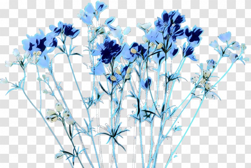 Lavender - Flower - Fernleaf Perennial Plant Transparent PNG