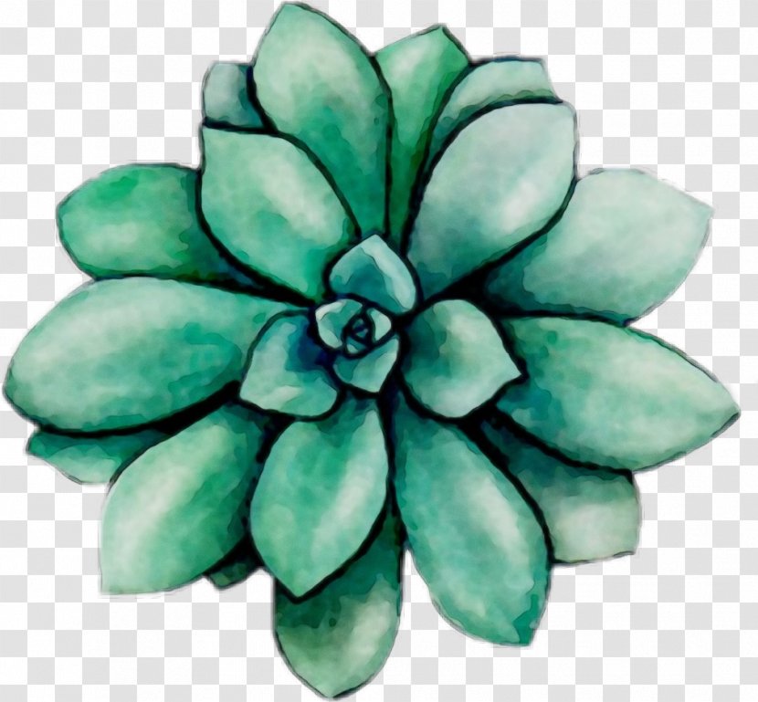Green Flower Turquoise Plant Teal - Flowering - Leaf Transparent PNG