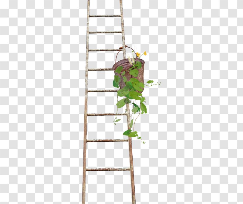 Ladder Wood Stairs Paper - Wooden Transparent PNG