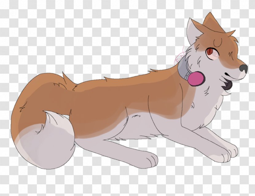 Whiskers Dog Cat Cartoon - Like Mammal Transparent PNG