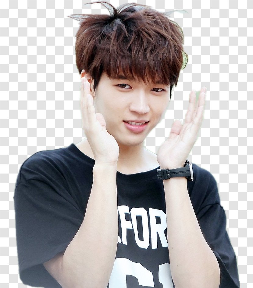 Woohyun M Countdown Infinite Sistar Inspirit - Cartoon - Tree Transparent PNG