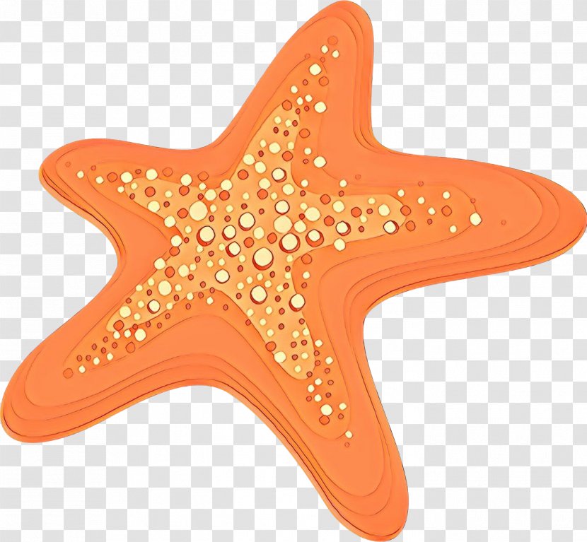 Orange - Starfish - Marine Invertebrates Star Transparent PNG